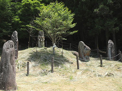 現在の佐太の京石　木々の成長が年月を物語っている