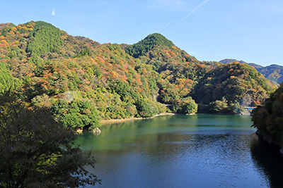 本部のある西丹沢も美しい紅葉が